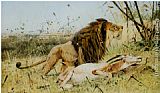 Wilhelm Velten Paintings - Lion and his Prey by Wilhelm Kuhnert